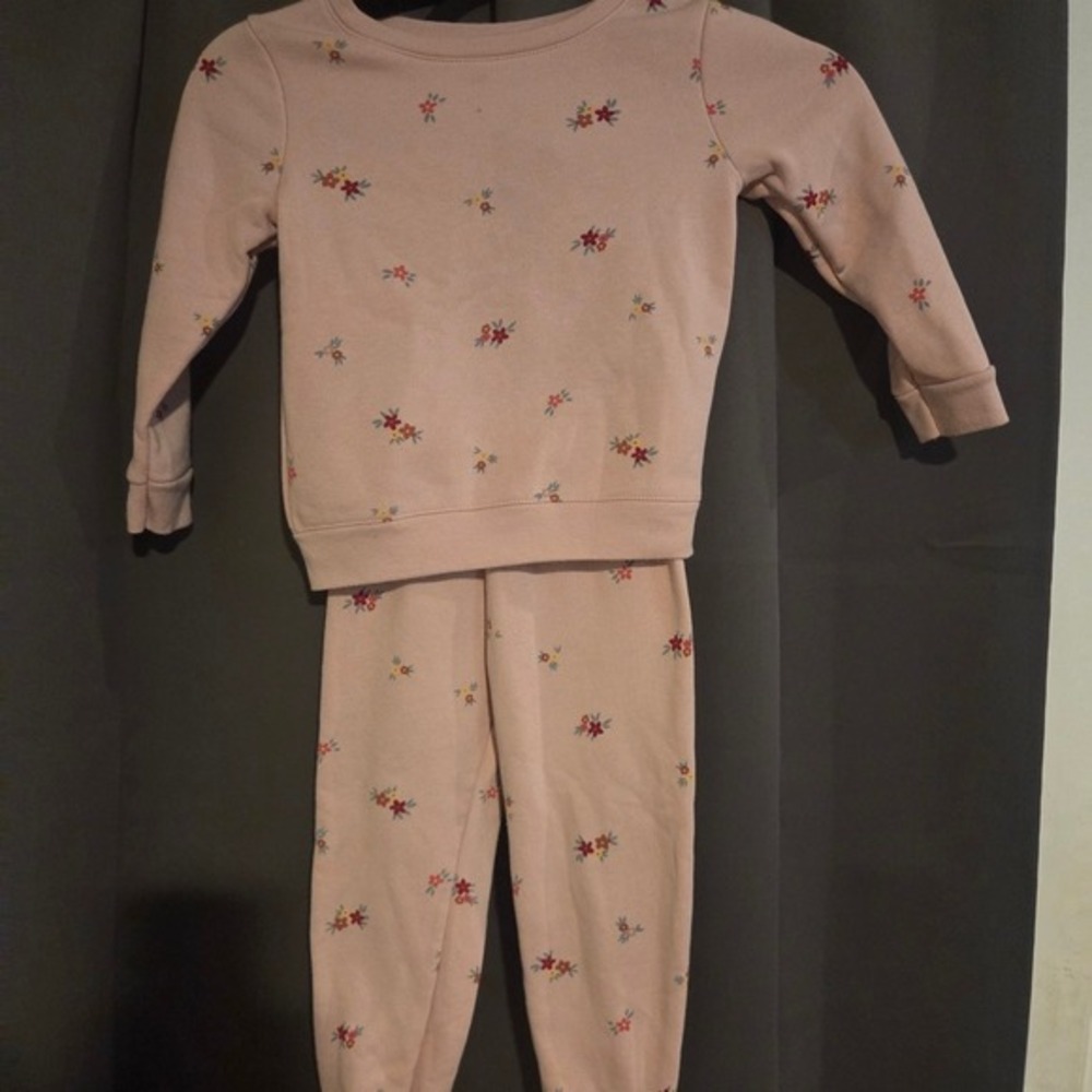 Garanimals Light Pink Floral Pajamas, Toddlers 3T, Long Sleeve Top & Pants Set